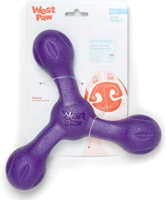recycled plastic dog toy