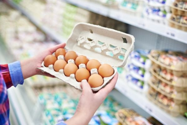 how to recycled egg cartons
