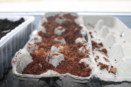 Egg Cartons
