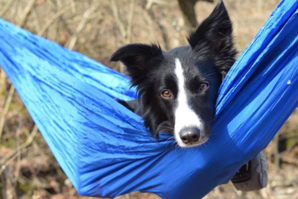 Coalatree hammock made from recycled plastic bottles