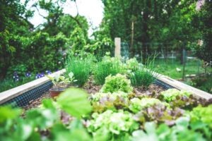 reduce your carbon footprint
