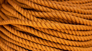 PET rope