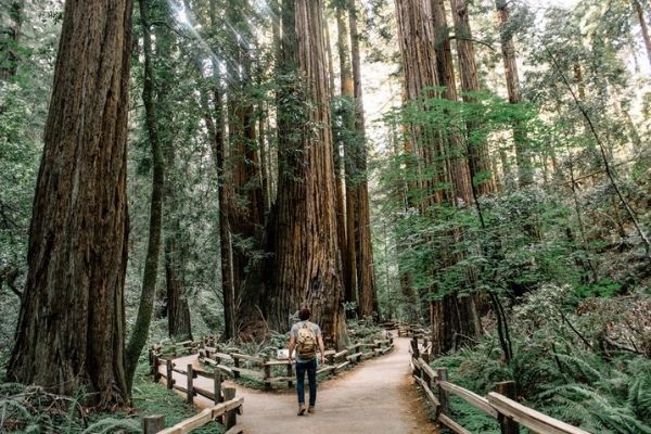 tentree eco friendly clothing and accessories
