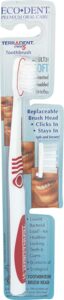 eco-dent toothbrush with replaceable heads
