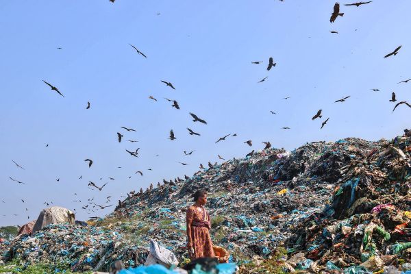 women waste pickers
